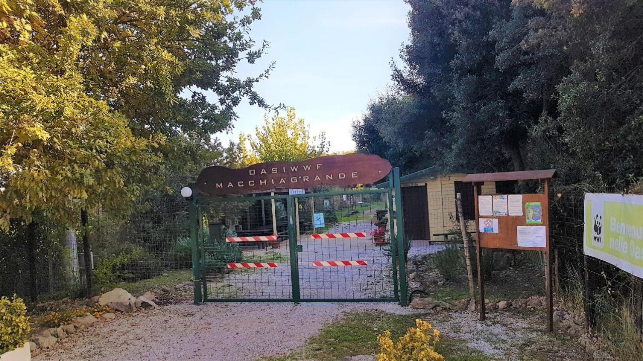 Jasiga Bed and breakfast *